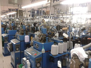 毛绒玩具的温暖世界 诸暨市大唐熊素华针织厂的针纺织品传奇